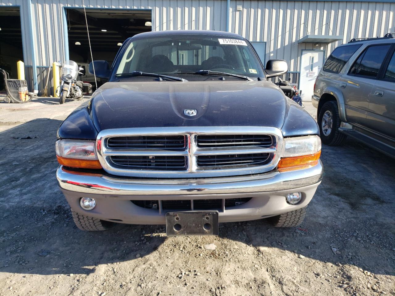 Lot #2909776294 2003 DODGE DAKOTA QUA