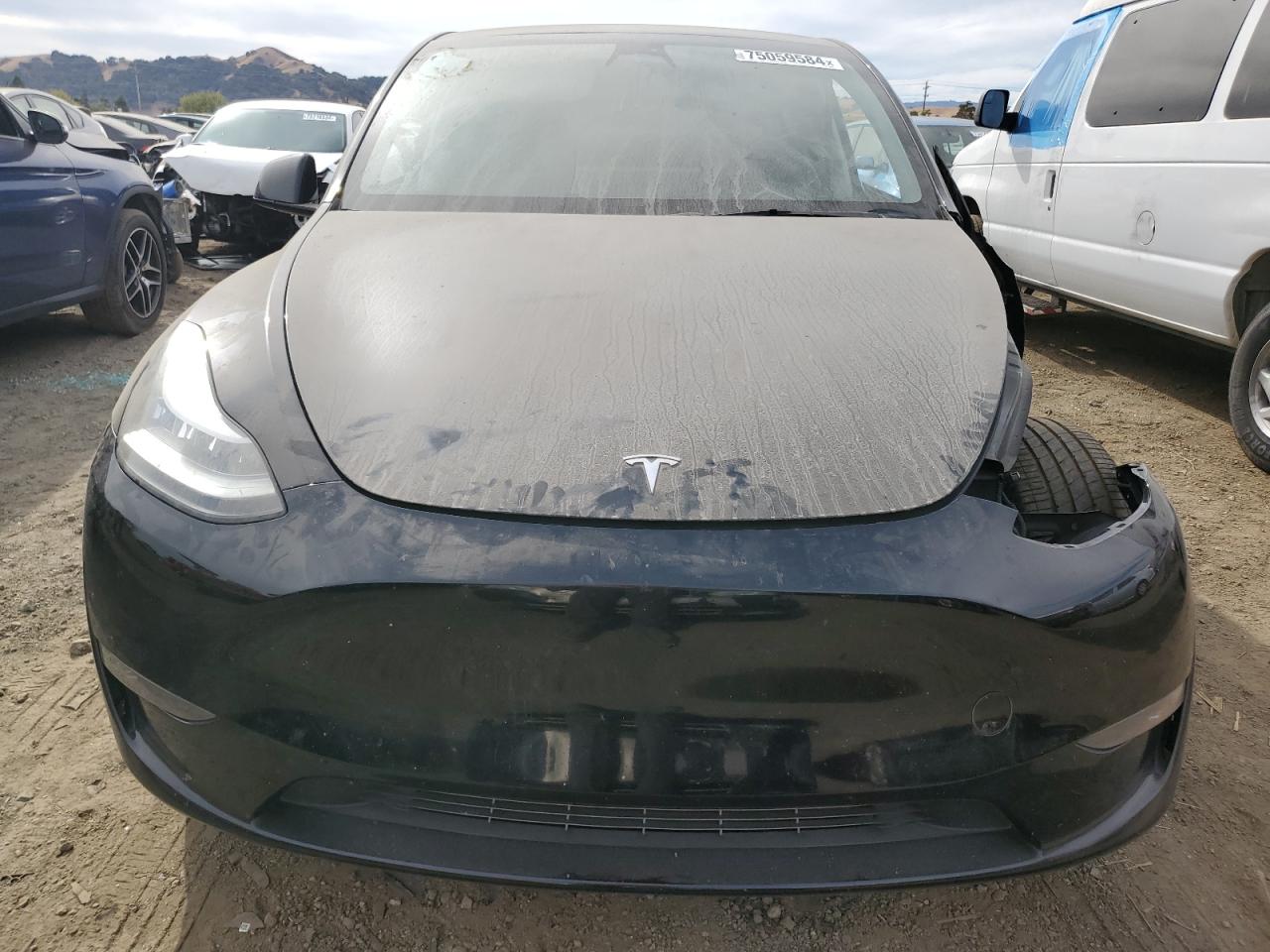 Lot #2986276233 2023 TESLA MODEL Y