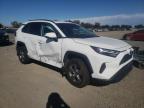 TOYOTA RAV4 XLE photo