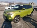 KIA SOUL + photo