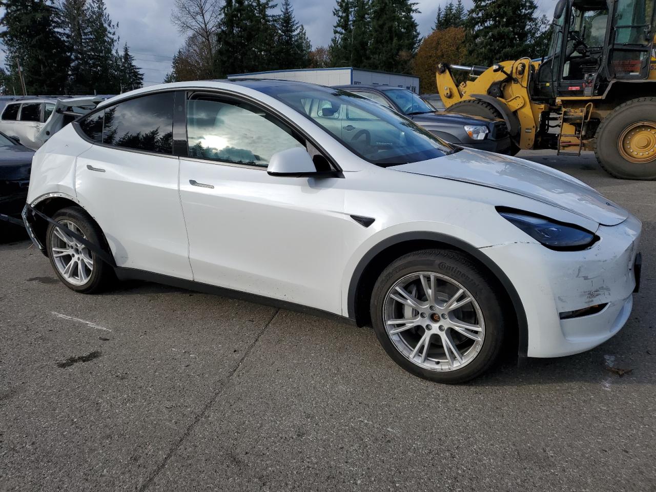 Lot #2989373689 2023 TESLA MODEL Y