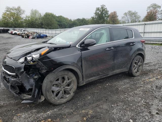 Vin: kndpm3ac8n7973493, lot: 74704654, kia sportage lx 2022 img_1