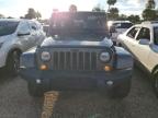 JEEP WRANGLER U photo