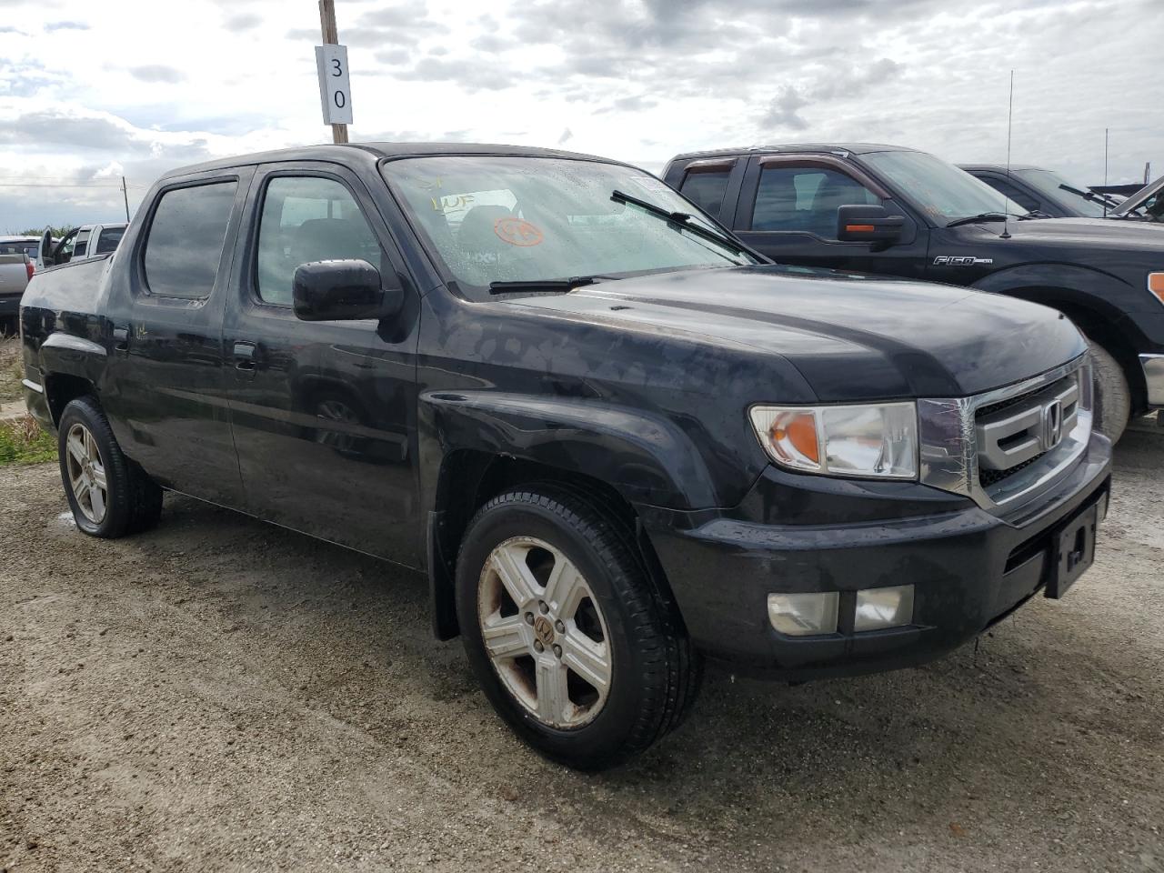 Lot #3020829676 2009 HONDA RIDGELINE