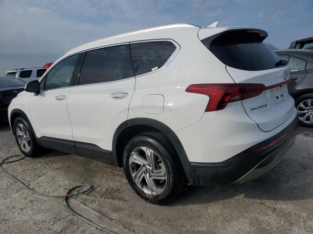 VIN 5NMS24AJ0PH566736 2023 HYUNDAI SANTA FE no.2