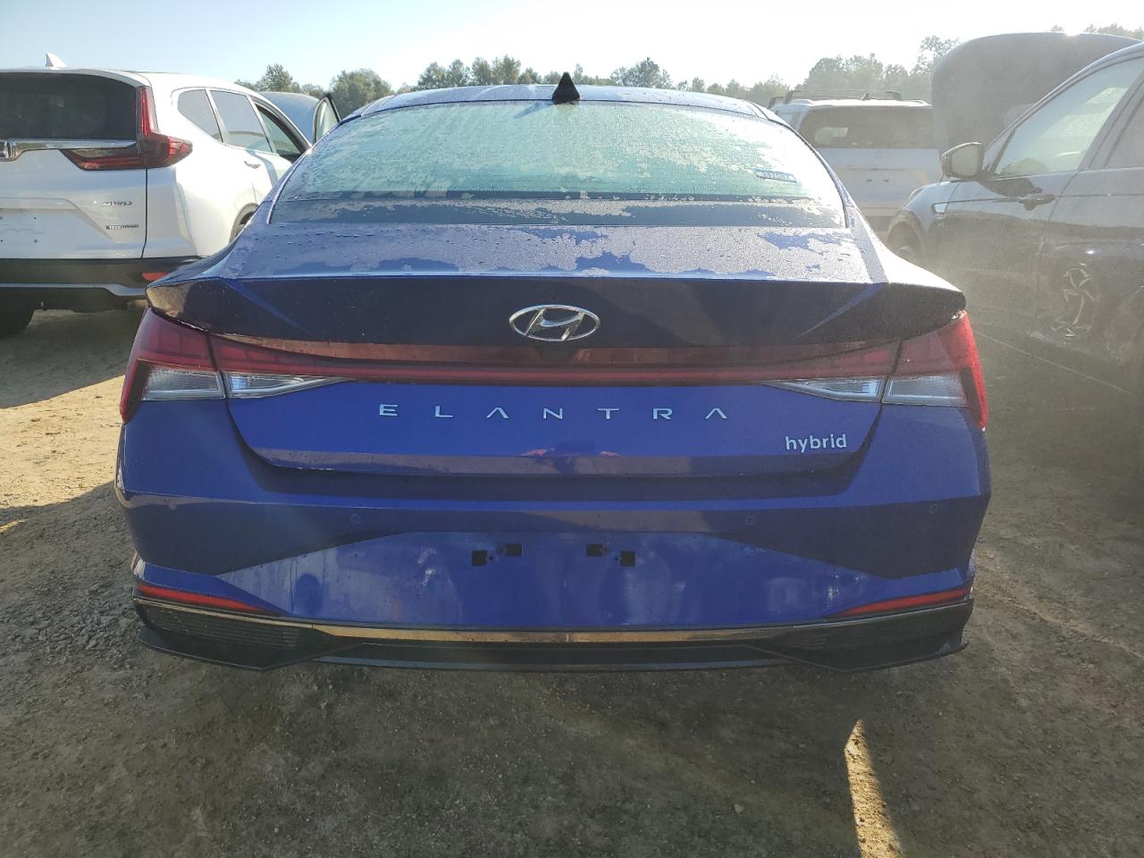 Lot #3028583915 2023 HYUNDAI ELANTRA LI