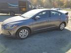 HYUNDAI ELANTRA SE photo