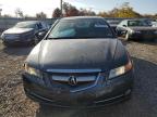 ACURA TL photo