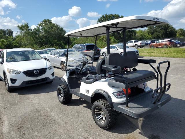 ASPT GOLF CART 2021 white   FLA116886 photo #4