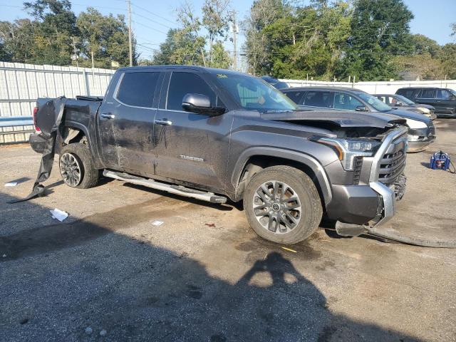 2023 TOYOTA TUNDRA CRE - 5TFJC5DB1PX019646
