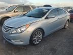 Lot #3027014816 2013 HYUNDAI SONATA SE