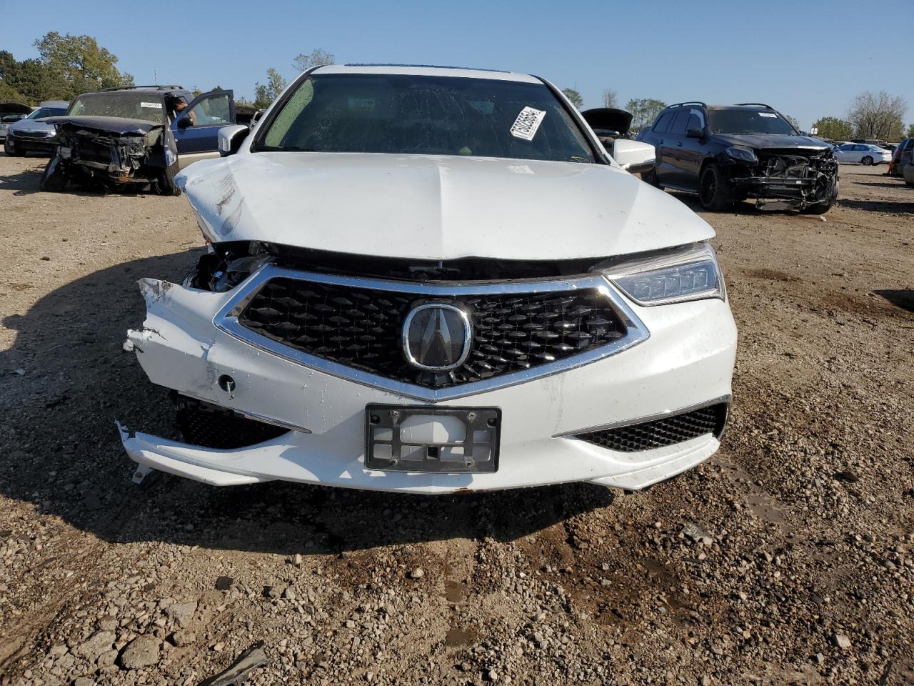 Lot #2938296641 2018 ACURA TLX