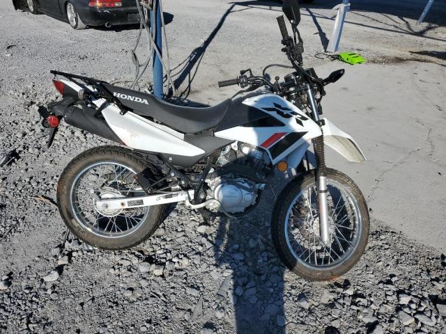 2023 HONDA OTHER #3312367775