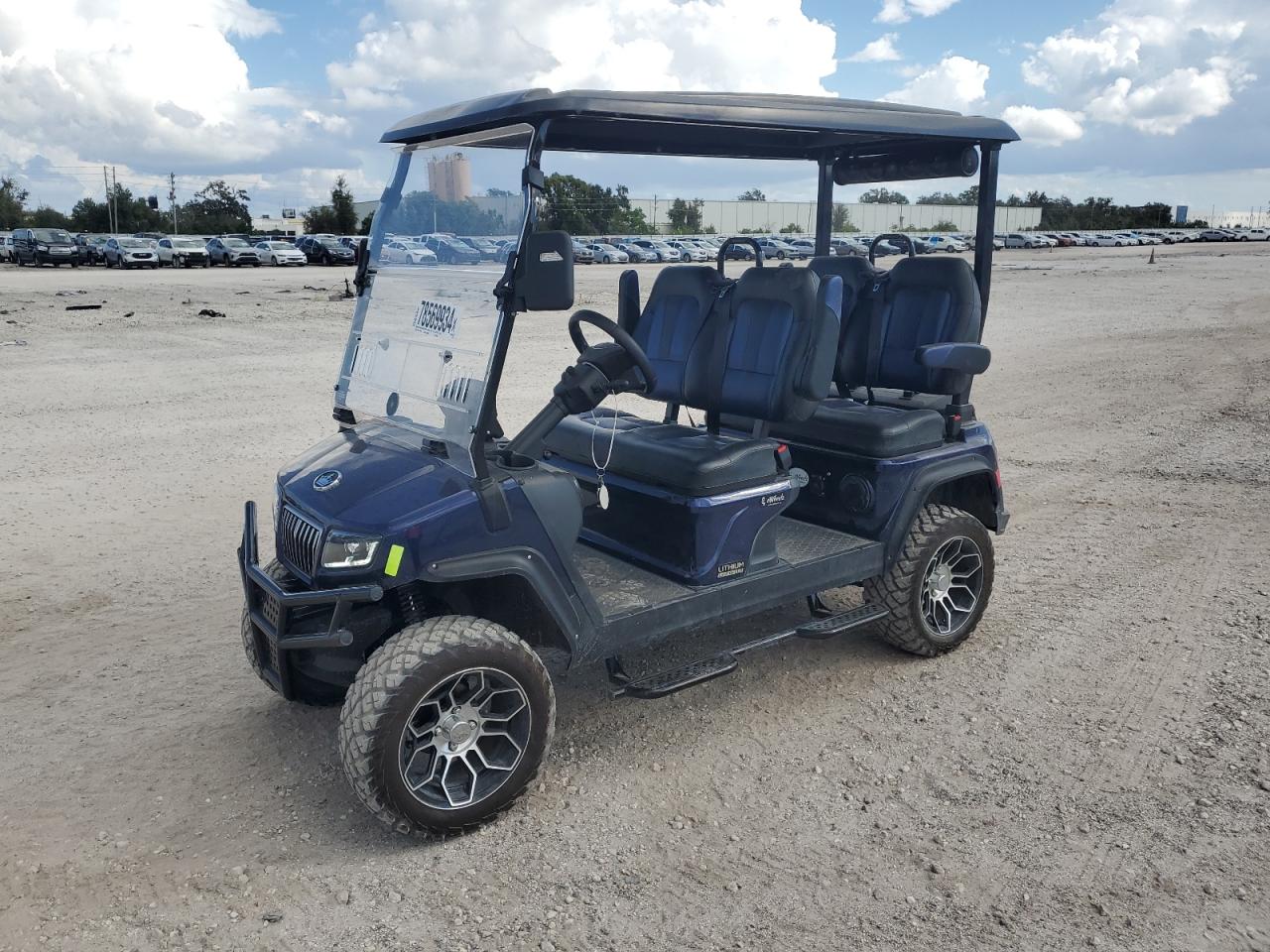 Lot #3026262274 2024 FIEX GOLF CART