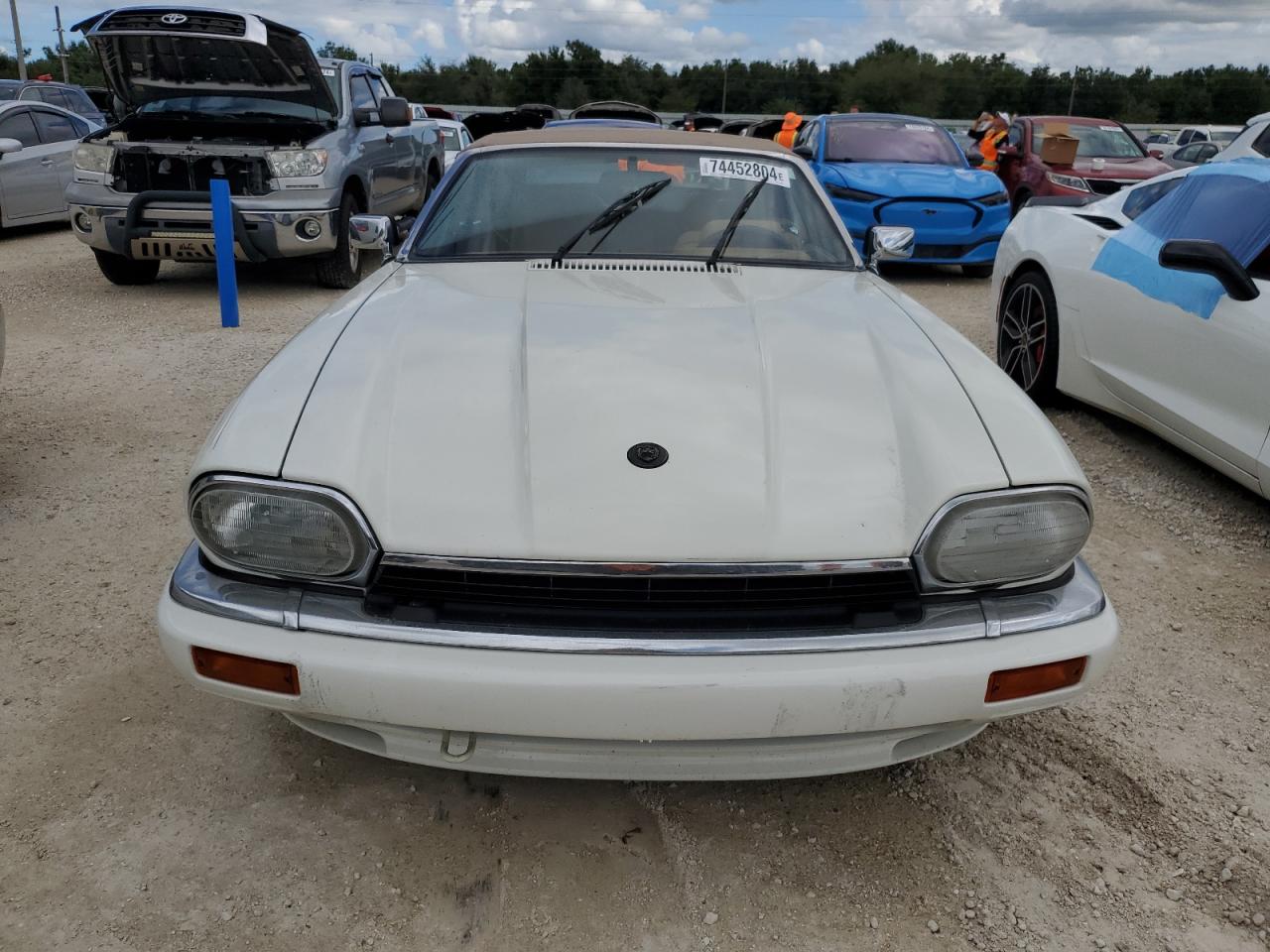 Lot #3046975104 1994 JAGUAR XJS 2+2