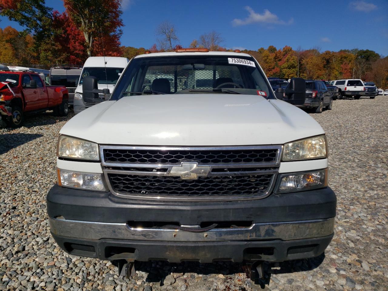 Lot #3025829323 2007 CHEVROLET SILVERADO