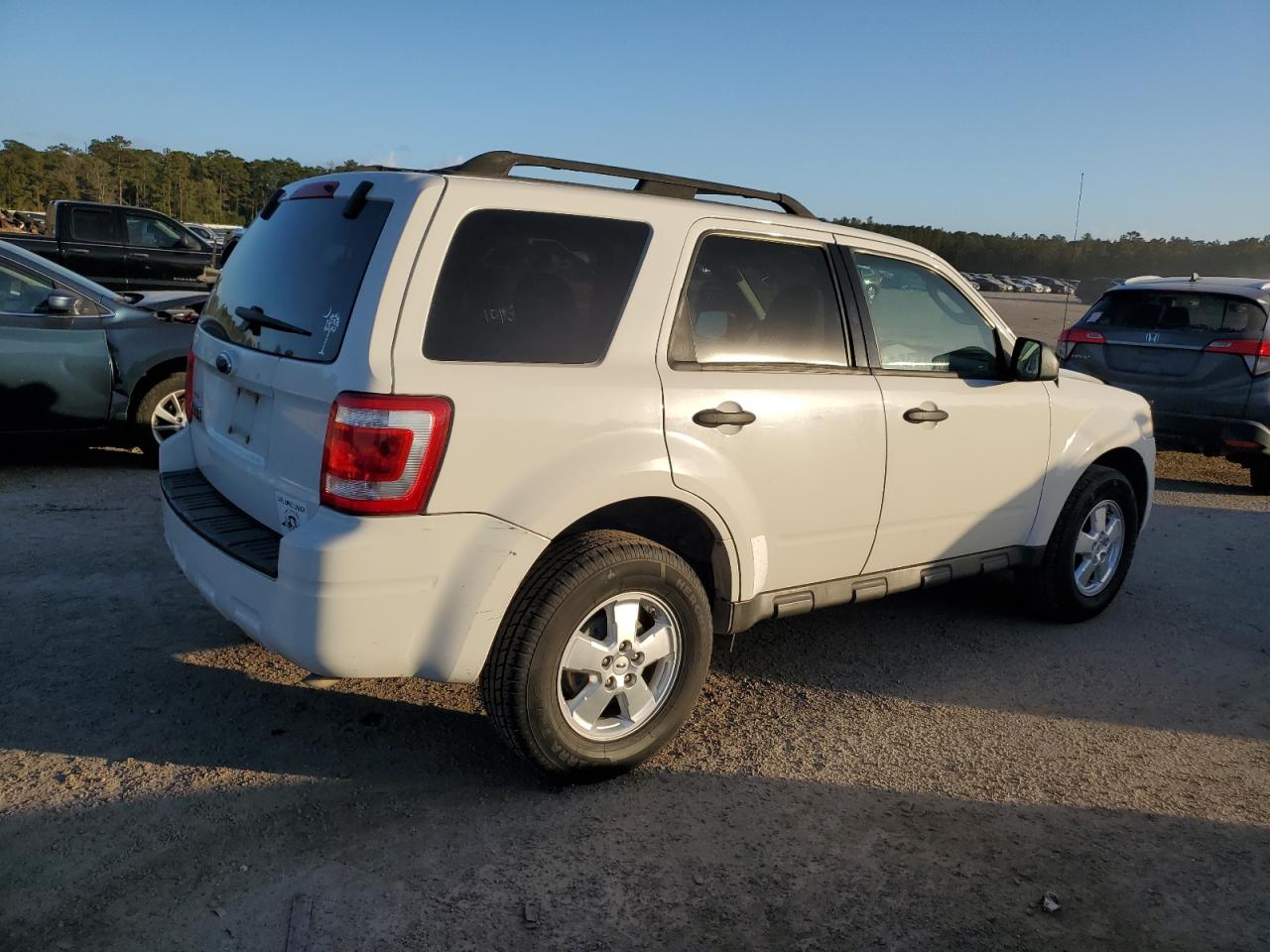 Lot #2991526860 2009 FORD ESCAPE XLT