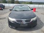 KIA FORTE EX photo