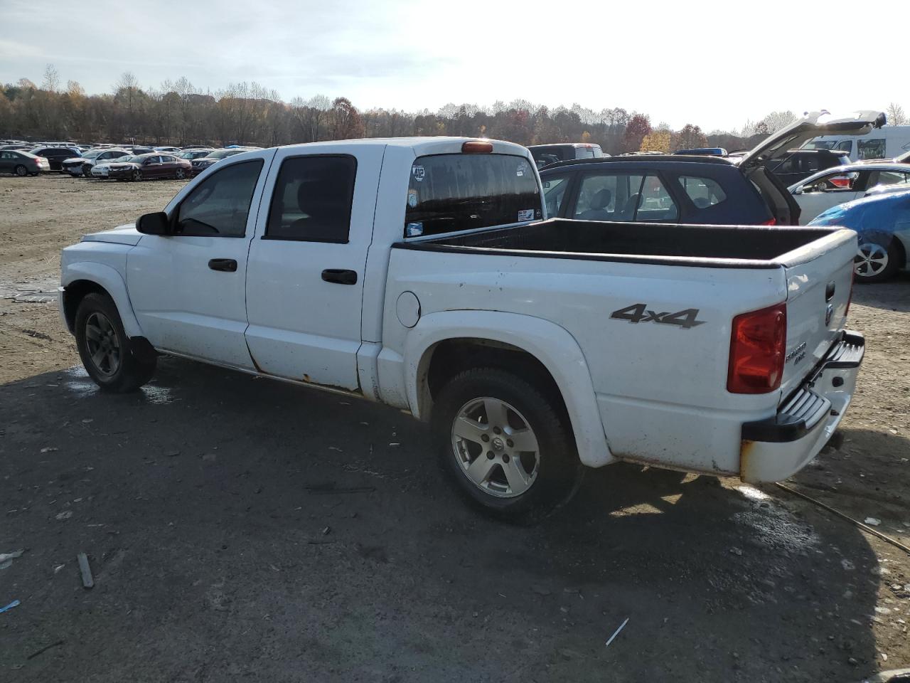 Lot #3026043983 2008 DODGE DAKOTA QUA