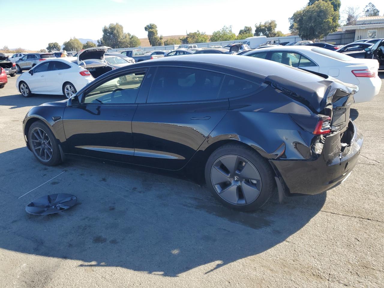 Lot #2986958859 2021 TESLA MODEL 3