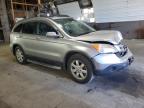 HONDA CR-V EXL photo