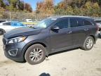 2017 KIA SORENTO LX - 5XYPGDA34HG327372