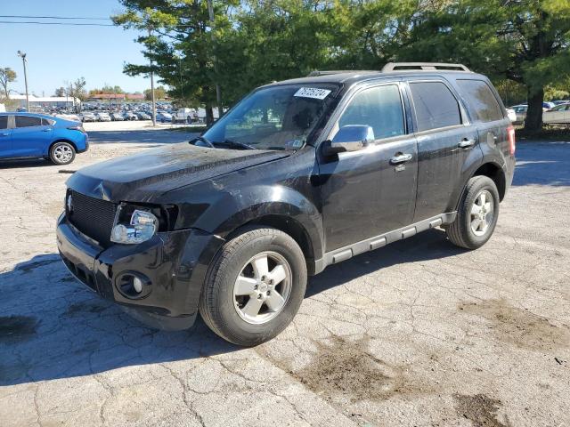 2012 FORD ESCAPE XLT #2921573798