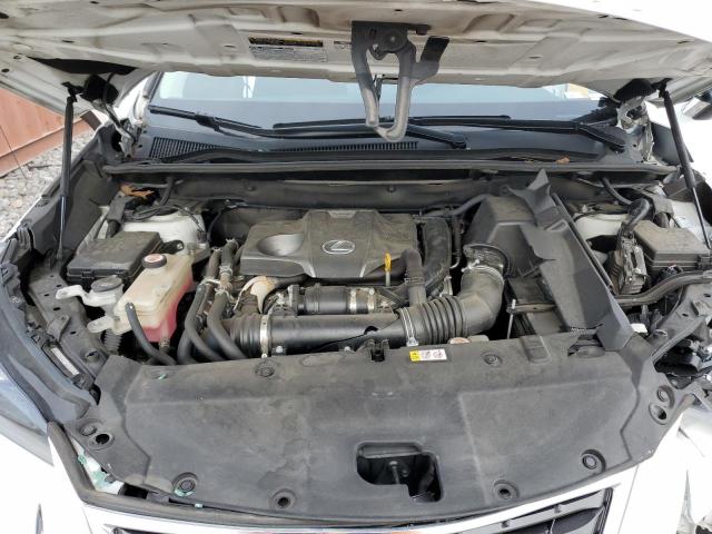 2020 LEXUS NX 300 JTJDARBZ1L5004884