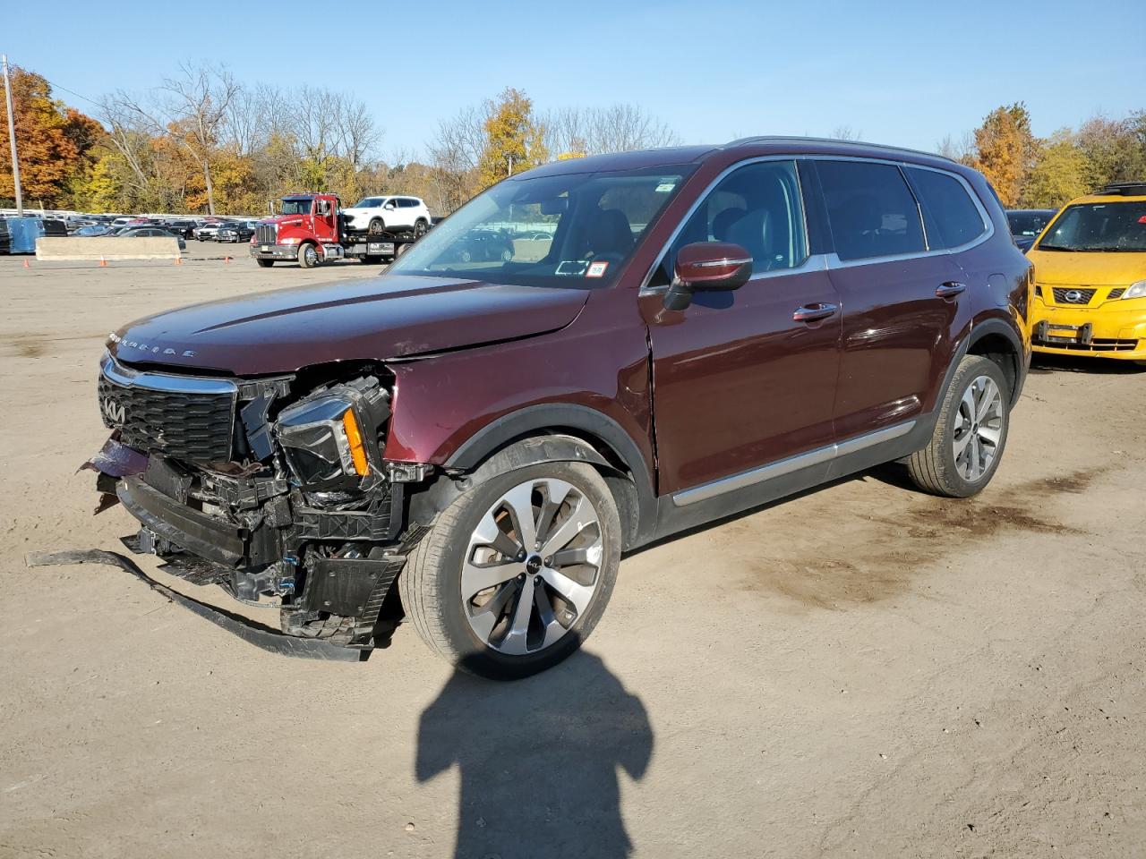 Lot #2994088381 2022 KIA TELLURIDE