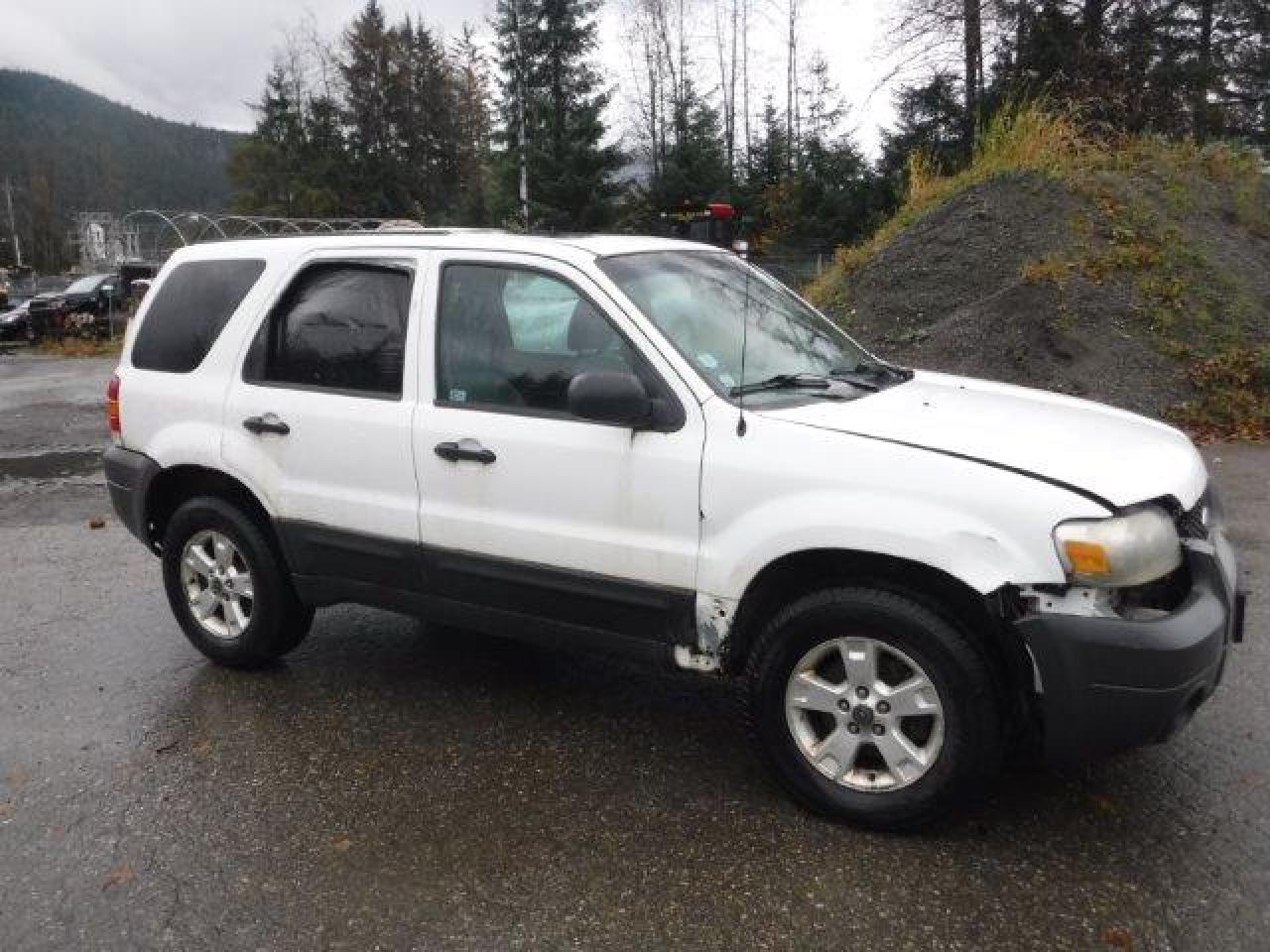 Lot #2928862551 2007 FORD ESCAPE XLT