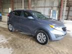 Lot #2991637047 2016 KIA SPORTAGE L