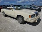 Lot #3037302182 1986 CHRYSLER LEBARON