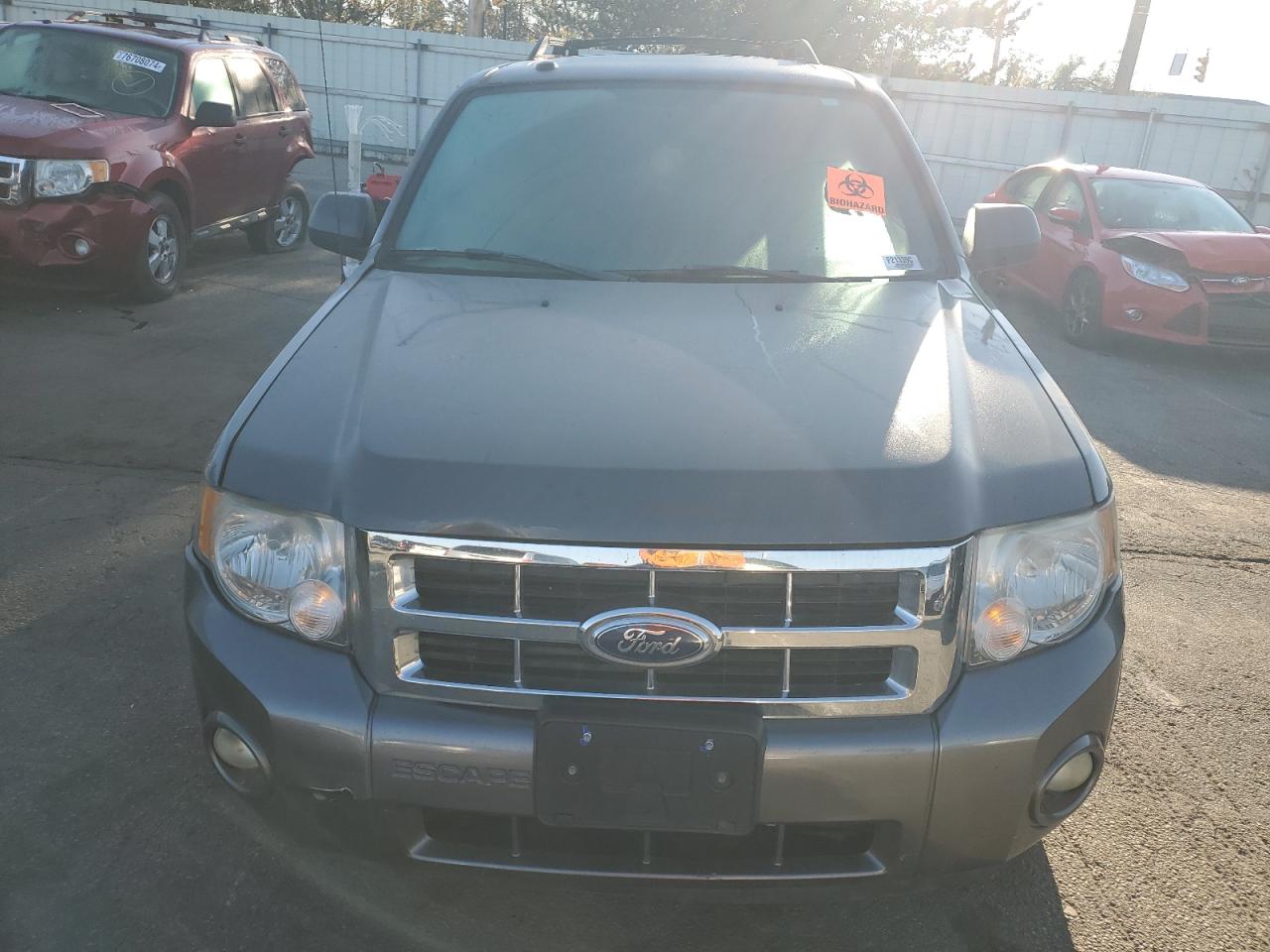 Lot #2986609256 2011 FORD ESCAPE XLT