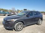 2015 JEEP CHEROKEE L - 1C4PJLCB3FW643118