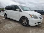 HONDA ODYSSEY EX photo