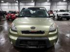 KIA SOUL + photo