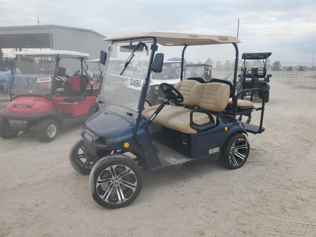 ASPT GOLF CART 2018 blue   FLA126570 photo #3