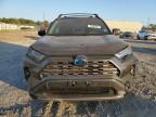 Lot #3024516400 2024 TOYOTA RAV4 LIMIT