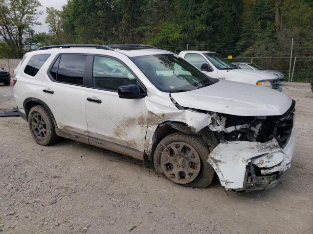 2024 HONDA PILOT TRAI 5FNYG1H67RB016336