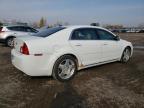 CHEVROLET MALIBU 2LT photo