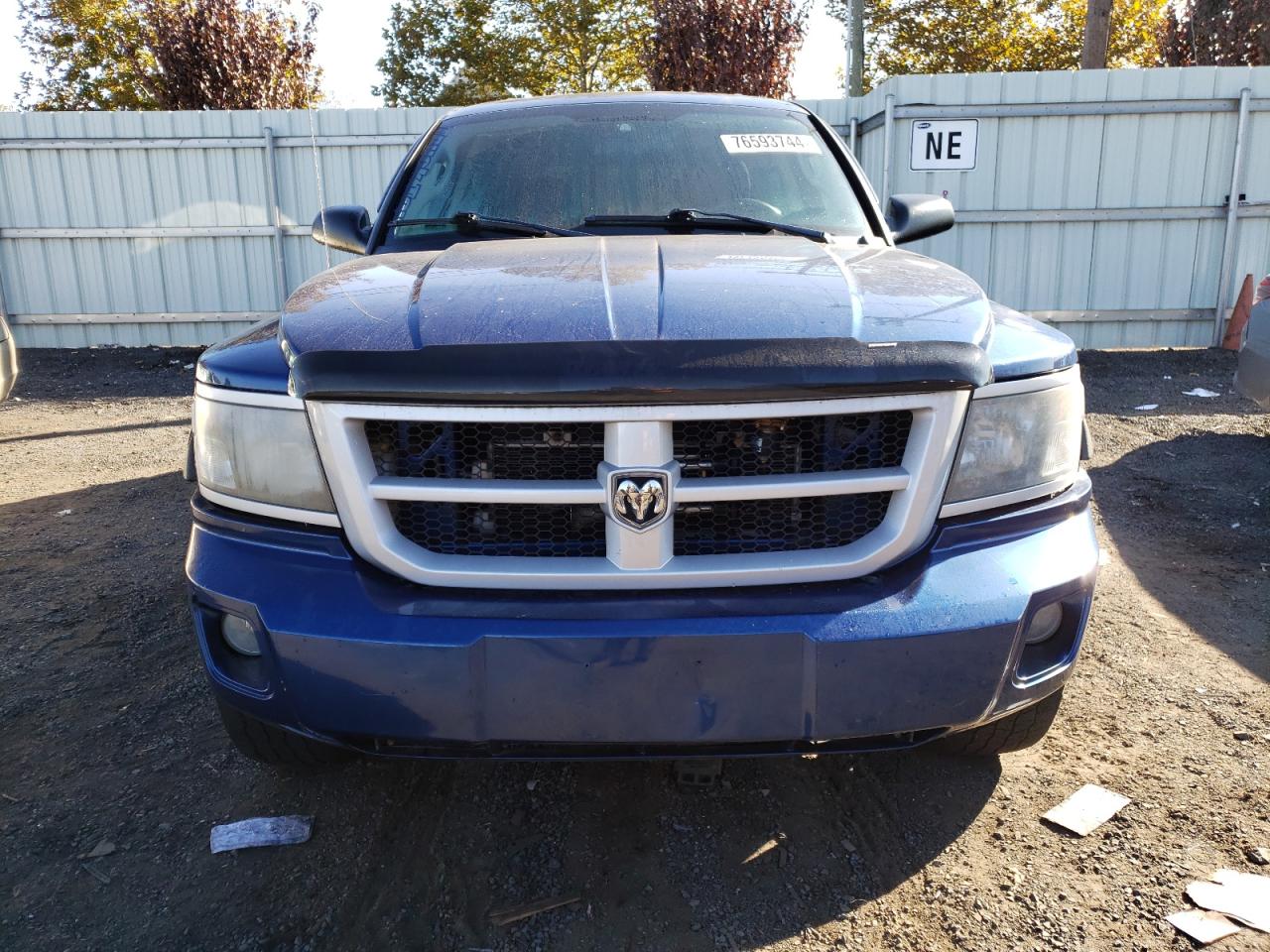 Lot #2921285888 2009 DODGE DAKOTA SXT