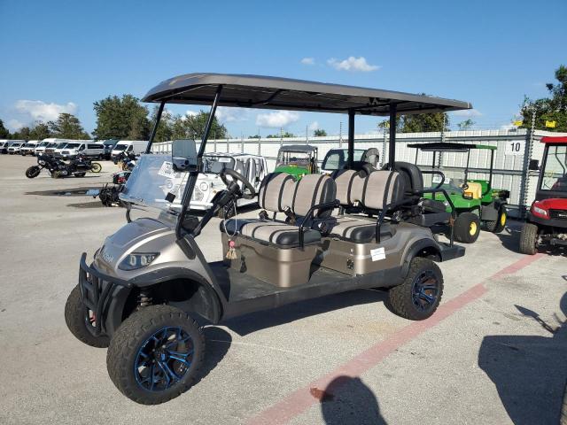 ASPT GOLF CART 2020 gold   FLA110967 photo #4