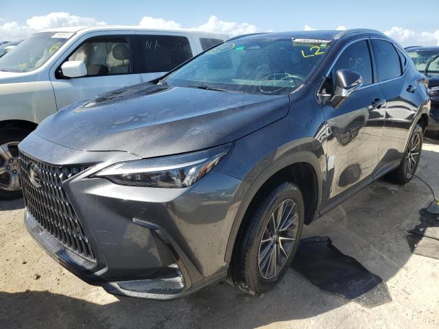 LEXUS NX 350H BA 2024 gray  hybrid engine 2T2GKCEZ1RC020368 photo #1