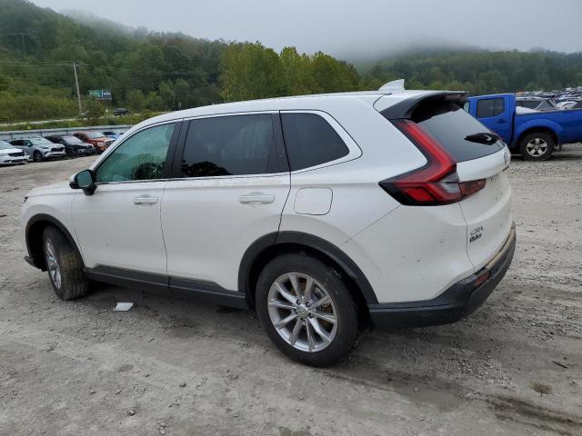 2024 HONDA CR-V EXL - 5J6RS4H77RL004188