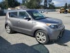 KIA SOUL + photo