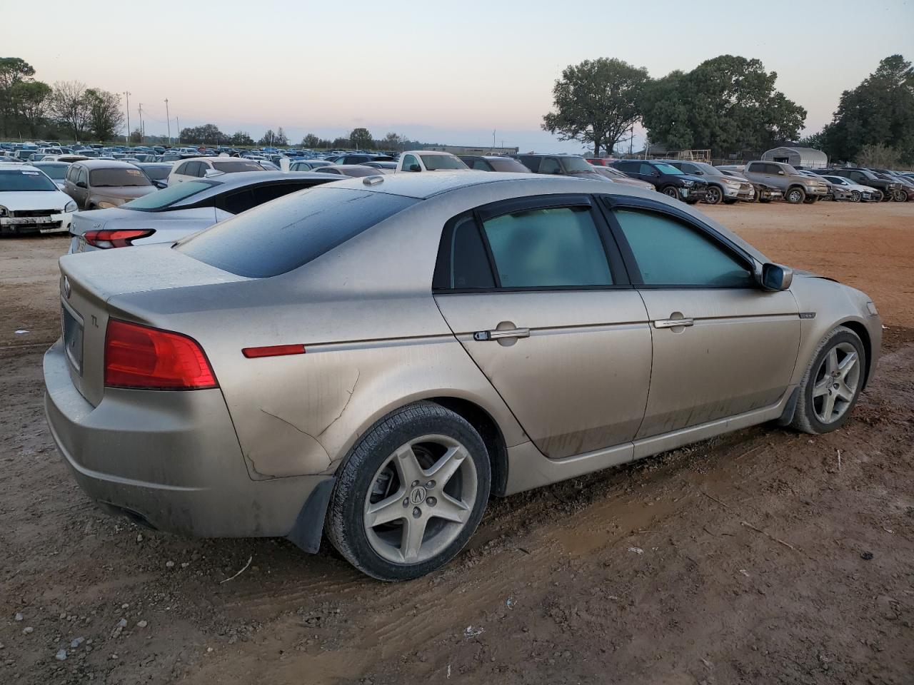 Lot #2940731336 2005 ACURA TL