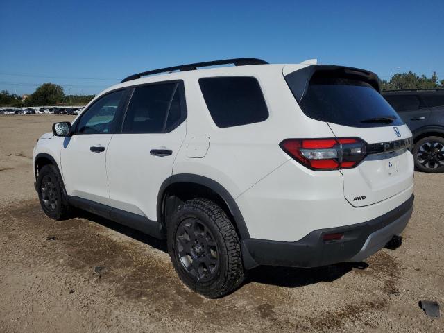 2024 HONDA PILOT TRAI - 5FNYG1H65RB008641