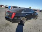 CADILLAC XTS photo