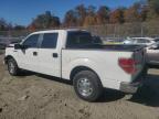 Lot #3023916222 2010 FORD F150 SUPER