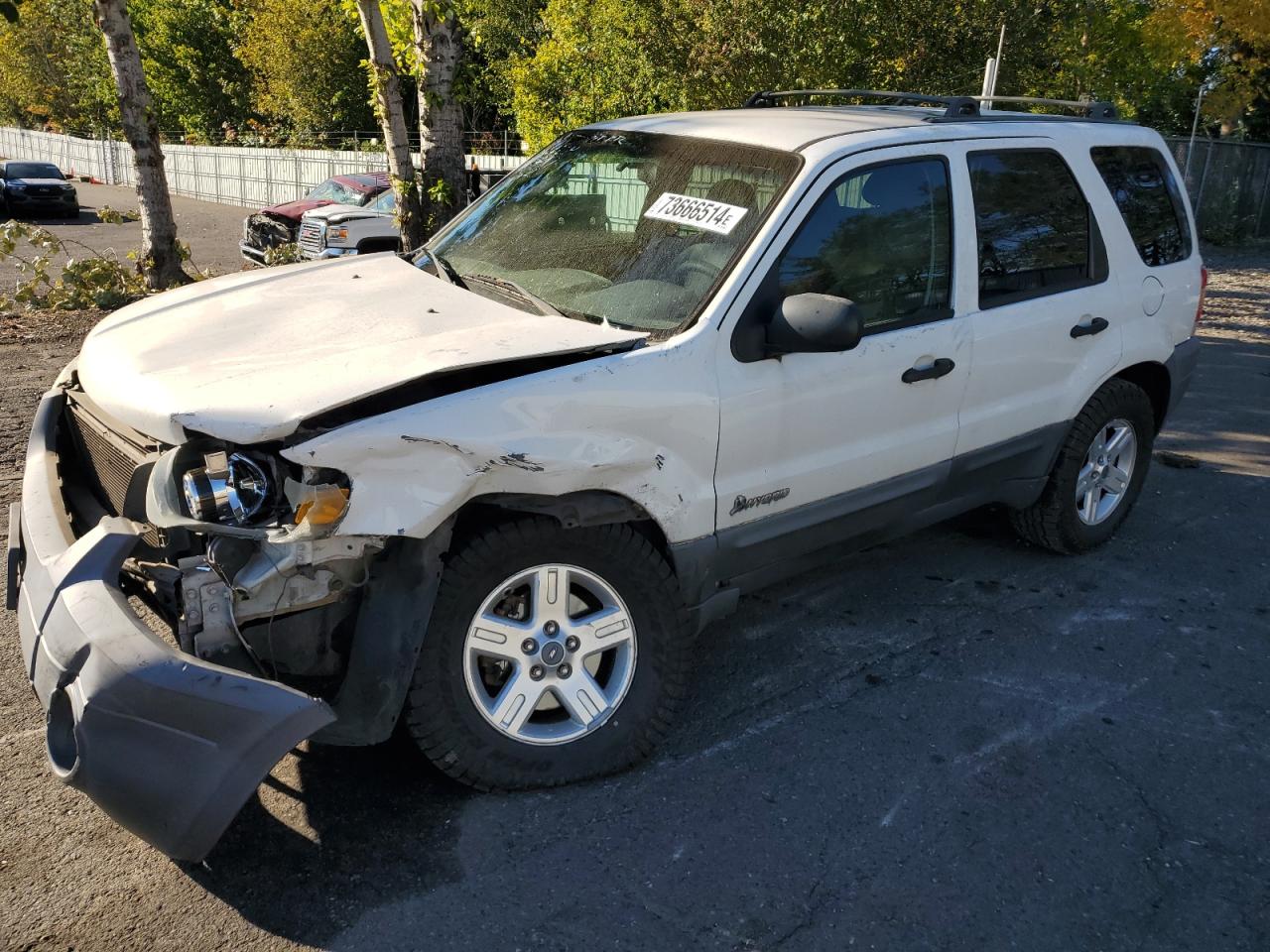 Ford Escape 2006 HEV